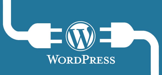 WD explored's wordpress for your website